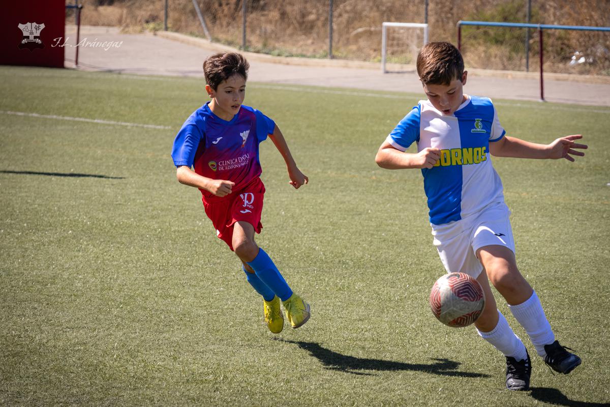 Alevin 3A jornada 01-1-13